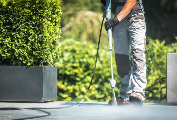 Best Gutter Cleaning  in Selmer, TN
